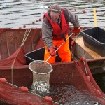 fishing karelia summer