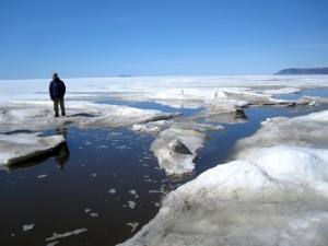 Bering Straight Sea Ice, 2010.