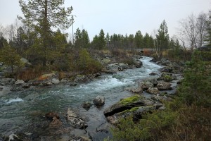 River Kirakkajoki is the site of the 2017 restoration efforts.