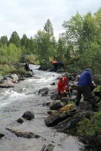 Work team restoring habitat on Kirakkakoski.